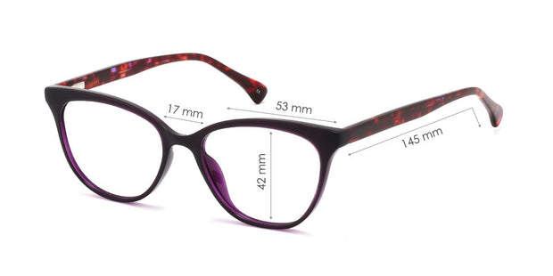 Aridus - prescription glasses in the online store OhSpecs